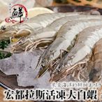 【海陸管家】宏都拉斯活凍白蝦1盒(每盒約1kg/48-56隻)