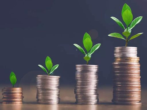 Best focused mutual funds to invest in July 2024