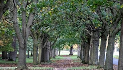 Met Eireann predict dry conditions and sunshine before temperatures plunge