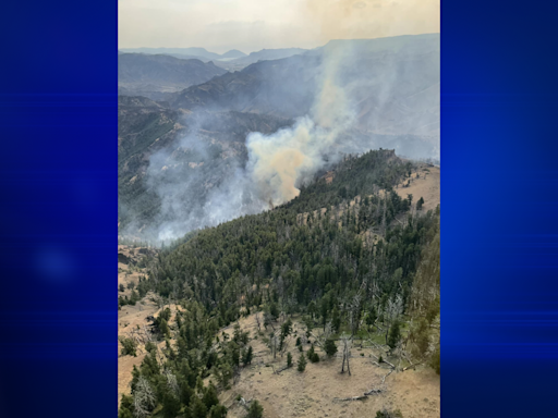 Wapiti Campground evacuates and Yellowstone closes east entrance outbound for smoke and fire