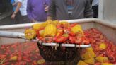 More than seafood goes in the boiling pot at this new festival on New Orleans lakefront