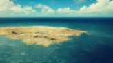 Una "isla de plástico" del Océano Pacífico ya es considerada un continente por su gran tamaño