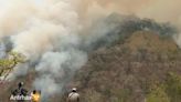 Consumen 6 incendios Los Chimalapas, en Oaxaca; devoran zona de niebla, nunca antes alcanzada por el fuego