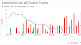 Insider Sale: CFO David Bernhardt Sells Shares of SentinelOne Inc (S)