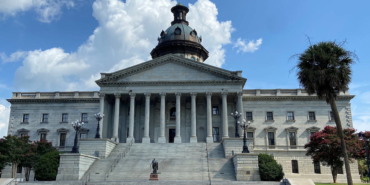 South Carolina state house tables athletic bills