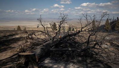 Buffett's PacifiCorp suspected of collusion by wildfire victims' law firms