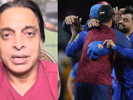 'Hathi sher se 100x bada hota hai aur..': Shoaib Akhtar's analogy to define Afghanistan's historic T20 World Cup win over Australia | Cricket News - Times of India