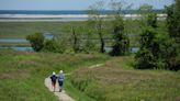 Fantastic views and more: Try these great Cape Cod National Seashore hiking trails