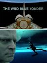 The Wild Blue Yonder (2005 film)