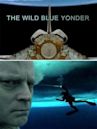 The Wild Blue Yonder