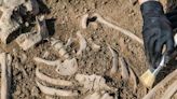 Archaeologists Find Neolithic Skeletons Unearthed in France Likely Killed 'Mafia-Style'