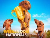 Wiener Dog Nationals