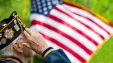 How does the VA support the nearly half of veterans who are 65 and older?