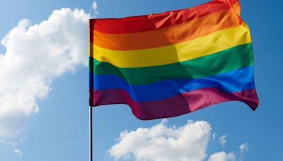 Dia do Orgulho LGBTQIAPN+: entenda o significado da sigla