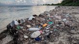 Study reveals nearly 60 companies to be responsible for half of world's plastic pollution: 'The industry likes to put the responsibility on the individual'