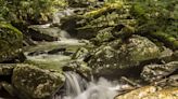 Great Smoky Mountains NP closes some roads, popular waterfall trail after strong storms