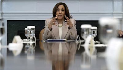 Secret Service removes agent from Kamala Harris' detail after 'distressing' behavior