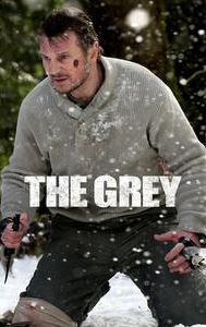 The Grey (film)