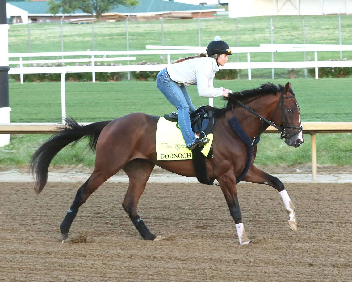 How will 20-horse starting gate affect 2024 Kentucky Derby horses and their post positions?