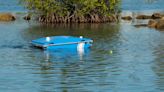 Incredible autonomous Pixie Drone 'eats' floating debris along coastlines: 'Like playing Pac-Man'
