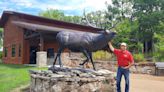 Want to get a look at wild elk in Pennsylvania? Here's what you need to know