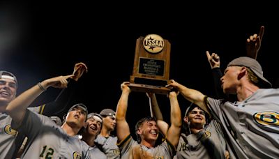 After combined 16 innings in 12-hour day, Briarcrest baseball wins 1st state title