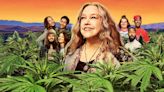 Disjointed Season 1 Streaming: Watch & Stream Online via Netflix