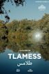 Tlamess