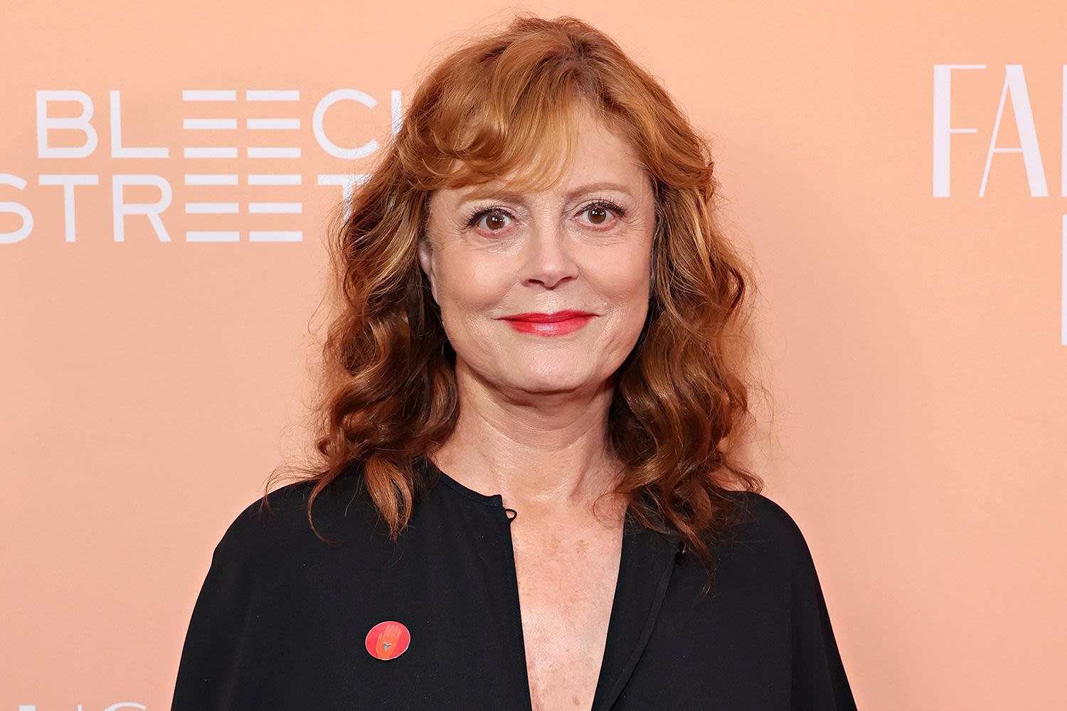 Susan Sarandon Says She's 'Open to Love' on 'Every Level': 'I Love an Adventurer'