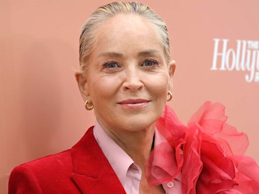 Sharon Stone Says She Lost $18 Million in Savings After Her 2001 Stroke: 'I Had Zero Money'