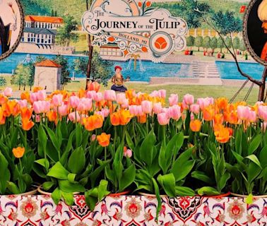 Destination: Holland, Mich. Tulip Time a colorful portal to region's history, allure