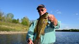 A hard-to-catch fish in the Delaware River... unless you know when and where to go