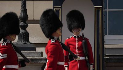 Royaume-Uni : Une touriste s’évanouit après avoir été mordue par un cheval de la garde royale à Londres