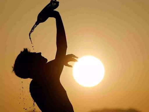 Heatwave fatalities rise in US: Hiker dies from heat and dehydration in Utah - Times of India