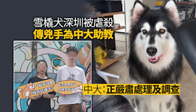 雪橇犬深圳被虐殺傳兇手為中大助教 中大：正嚴肅處理及調查