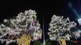 【打卡景點】2023山谷燈光節，點亮全台最高耶誕樹！