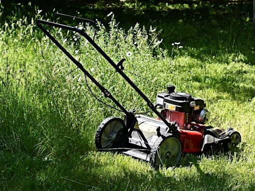 Monty Don warns gardeners to do one task after cutting grass for next year