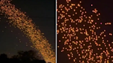 Floating lanterns form mesmerising stream of lights during Thai festival