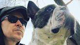 Donnie Wahlberg Reveals His Dog and 'Constant Sidekick' Lumpy Died Earlier This Year