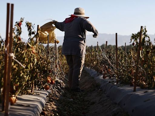 Record heat is set to drive the cost of fruits and vegetables higher