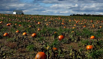 22 Ohio counties designated as natural disaster areas due to major drought