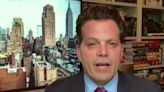 Anthony Scaramucci Scorches CEOs With 1 Blistering Description Over Trump Meeting