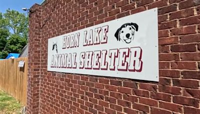 Horn Lake accepts bid for new animal shelter