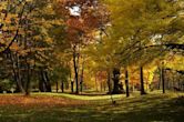 Hokkaido University Botanical Gardens