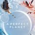 A Perfect Planet