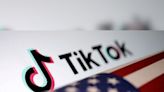 US appeals court should reject DOJ filings in divestiture suit: TikTok