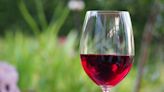 25 Best Red Wines of 2023 For Casual Drinking