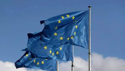 China says launches probe into EU foreign subsidy investigations - ET EnergyWorld