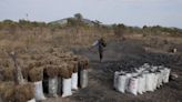 Faced With an Unprecedented Climate Crisis Zambia Bans Charcoal Permits