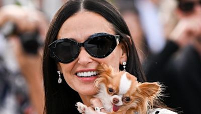 Pilaf, Demi Moore's tiny Chihuahua, was 'moved' by Tom Holland's performance in “Romeo & Juliet”